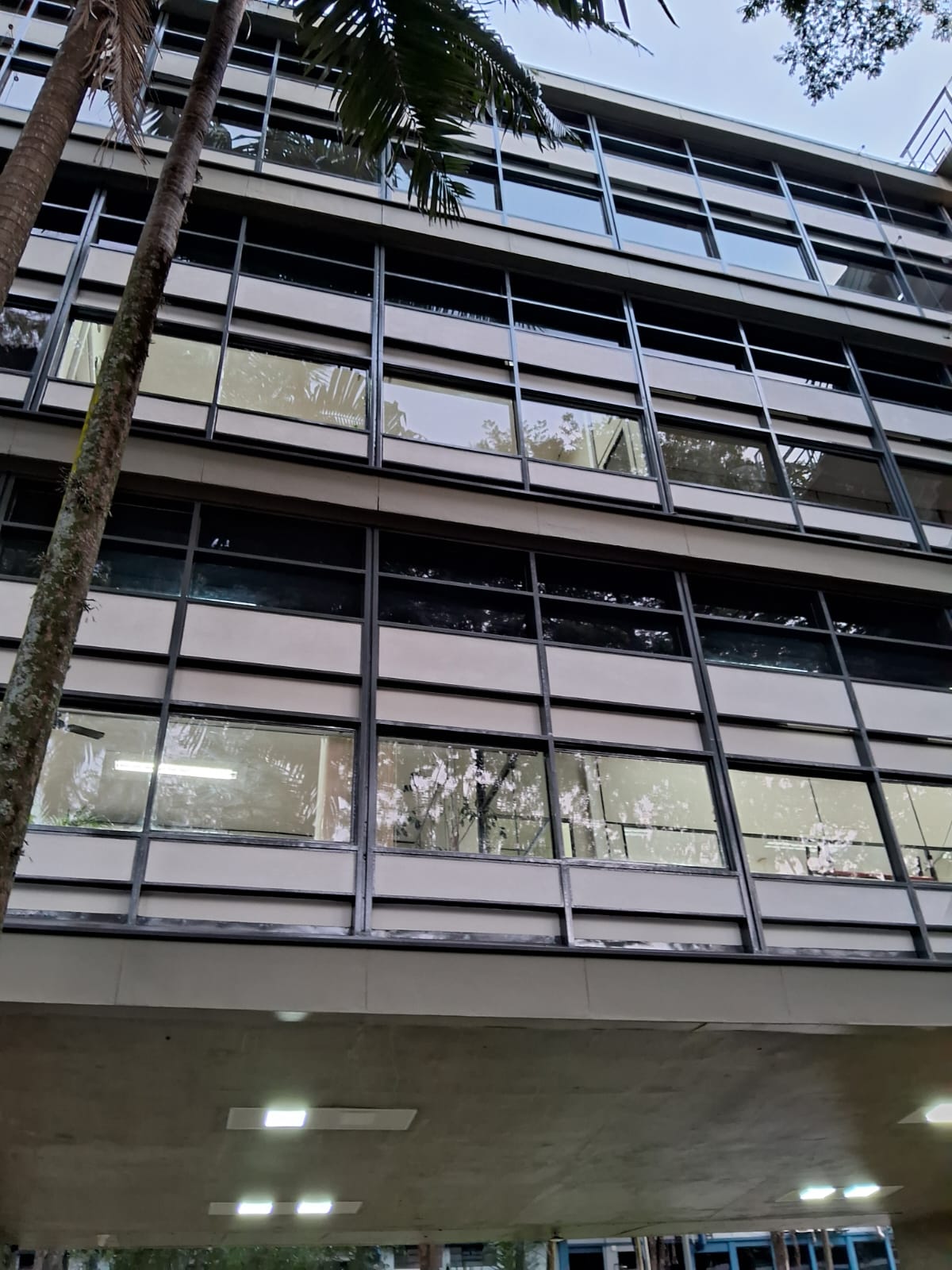 Espelhado Unicamp Pintura 8